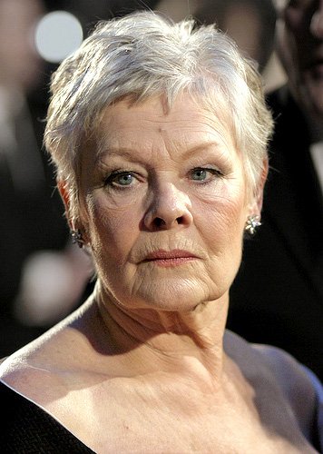 Judi Dench, nel cast